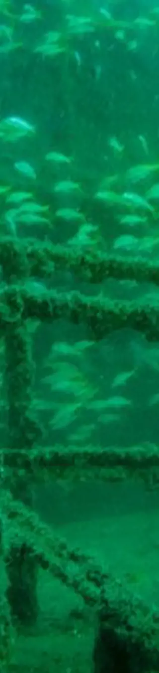 Tauche das Schiff-Wrack Al Munasir bei Muscat